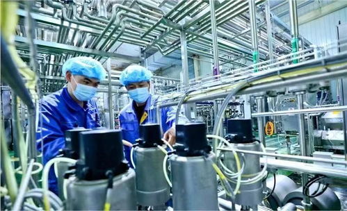 兰州新区国庆假期生产不打烊，全力赶制订单保障西安网络需求